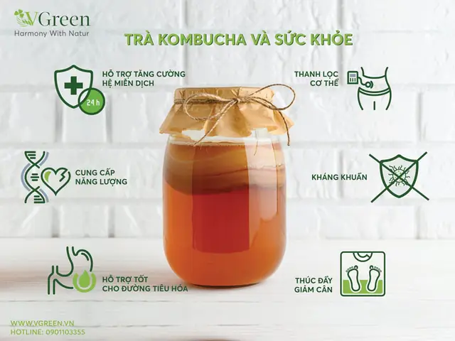 Cách Làm Con Giống Scoby Chuẩn Xác Tại Nhà Cho Người Mới Bắt Đầu