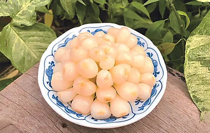 Cách Làm Củ Kiệu Chua Ngọt Giòn Chuẩn Vị Ngày Tết