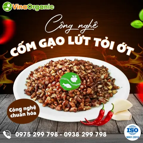 Cách Làm Gạo Lứt Cháy Tỏi Giòn Ngon, Chuẩn Vị Tại Nhà