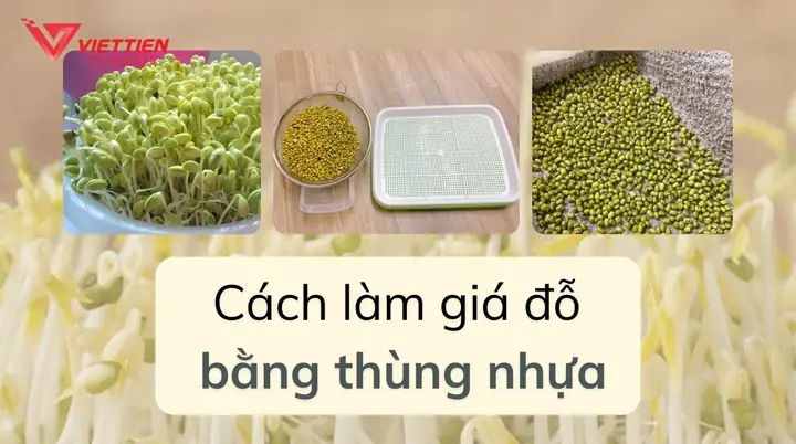 Cách Làm Giá Đỗ Số Lượng Nhiều: Hướng Dẫn Chi Tiết Từ A-z Cho Người Mới Bắt Đầu