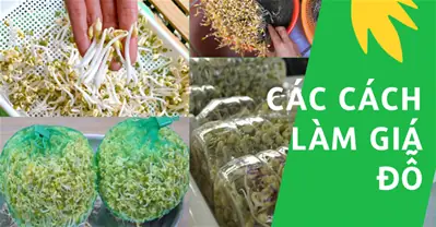Cách Làm Giá Đỗ Tương Bằng Rổ Tại Nhà Chuẩn Vị, Giòn Ngon Cách Làm Giá Đỗ Tương Bằng Rổ Tại Nhà Chuẩn Vị, Giòn Ngon