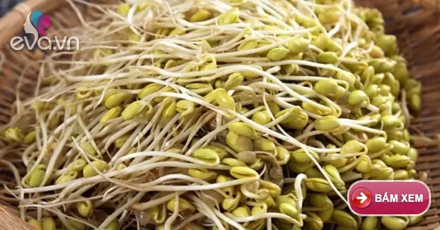 Cách Làm Giá Đỗ Tương Bằng Rổ Tại Nhà Chuẩn Vị, Giòn Ngon Cách Làm Giá Đỗ Tương Bằng Rổ Tại Nhà Chuẩn Vị, Giòn Ngon