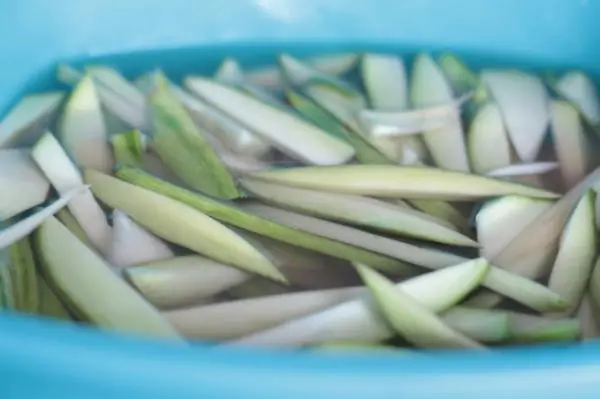 Cách Làm Mứt Xoài Dẻo