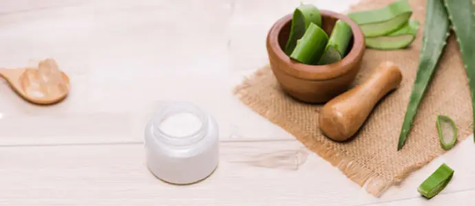Cách Làm Nha Đam Sữa Chua Thanh Mát, Bổ Dưỡng Cho Ngày Hè