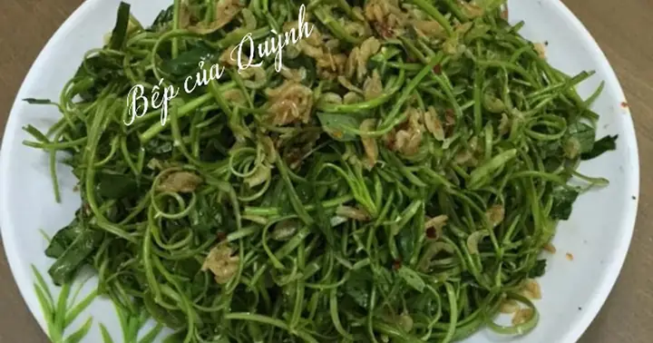 Cách Làm Nộm Tép Rau Muống Chua Ngọt Đậm Đà, Giòn Ngon Khó Cưỡng Cách Làm Nộm Tép Rau Muống Chua Ngọt Đậm Đà, Giòn Ngon Khó Cưỡng
