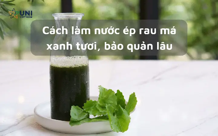 Cách Làm Nước Ép Rau Má Tại Nhà: Hướng Dẫn Chi Tiết Từ A-z