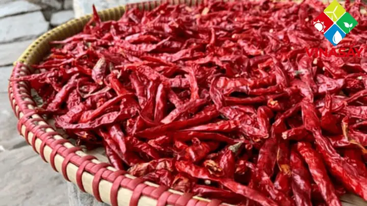 Cách Làm Ớt Bột Khô Tại Nhà Thơm Ngon, Chuẩn Vị Và An Toàn