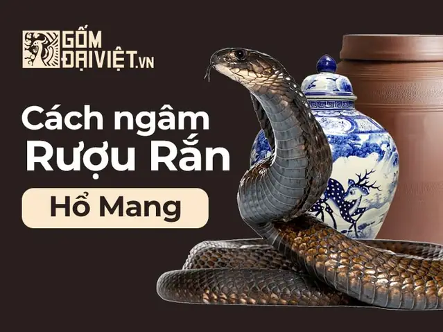 Các Bước Chế Biến Rắn Hổ Mang Thành Món Ngon An Toàn Và Bổ Dưỡng