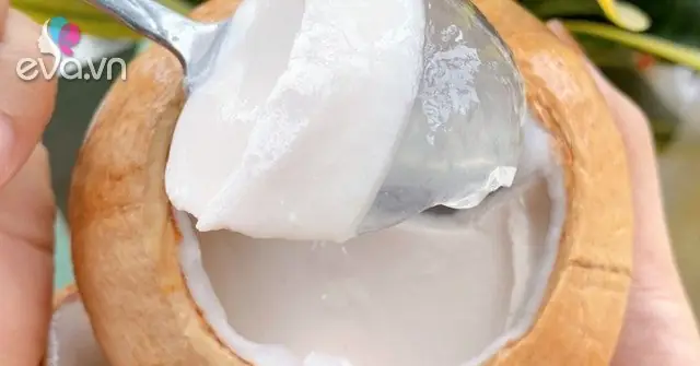 Cách Làm Rau Câu Dừa Con Cá Dẻo