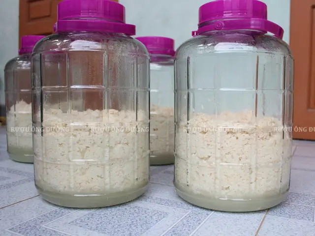 Cách Làm Rượu Nếp Vắt Chuẩn Vị, Thơm Ngon Tại Nhà Cách Làm Rượu Nếp Vắt Chuẩn Vị, Thơm Ngon Tại Nhà