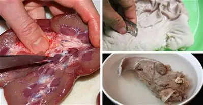 Cách Làm Sạch Cật Heo: 5 Phương Pháp Hiệu Quả Và Dễ Thực Hiện Tại Nhà Cách Làm Sạch Cật Heo: 5 Phương Pháp Hiệu Quả Và Dễ Thực Hiện Tại Nhà