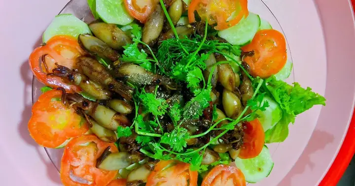 Cách Làm Sạch Mực Sữa: 7 Phương Pháp Hiệu Quả Từ Chuyên Gia Ẩm Thực