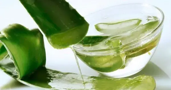 Cách Làm Sạch Nha Đam Đúng Chuẩn, An Toàn Cho Da Và Sức Khỏe Cách Làm Sạch Nha Đam Đúng Chuẩn, An Toàn Cho Da Và Sức Khỏe