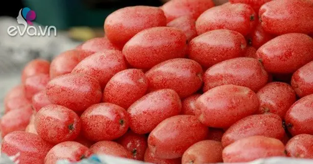 Cách Làm Sạch Phấn Quả Nhót: Hướng Dẫn Chi Tiết Từ A Đến Z