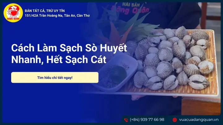 Cách Làm Sạch Sò Huyết Đúng Chuẩn, An Toàn Và Giữ Nguyên Độ Tươi Ngon