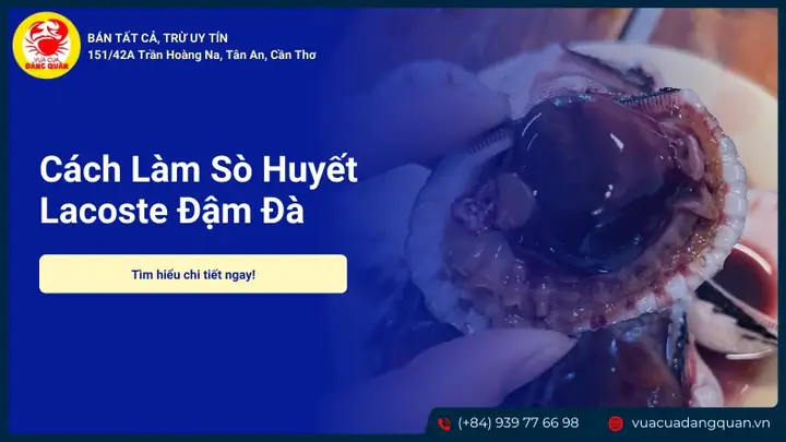 Cách Làm Sò Huyết Lacoste