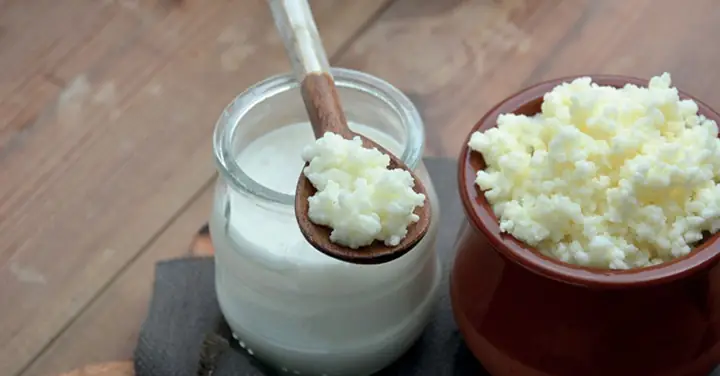 Cách Làm Sữa Chua Kefir Tại Nhà Đúng Chuẩn Và Dinh Dưỡng