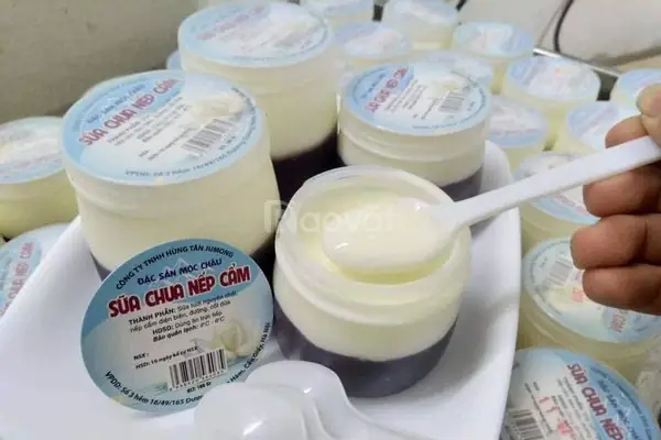 Cách Làm Sữa Chua Nếp Cẩm Mít Chuẩn Vị, Béo Thơm Ngay Tại Nhà Cách Làm Sữa Chua Nếp Cẩm Mít Chuẩn Vị, Béo Thơm Ngay Tại Nhà