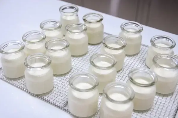Cách Làm Sữa Chua Ngon Bằng Nồi Cơm Điện Tại Nhà Cách Làm Sữa Chua Ngon Bằng Nồi Cơm Điện Tại Nhà