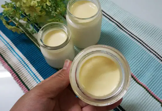 Cách Làm Sữa Chua Sấu Ngon Chuẩn Vị, Mát Lạnh Giải Nhiệt Mùa Hè