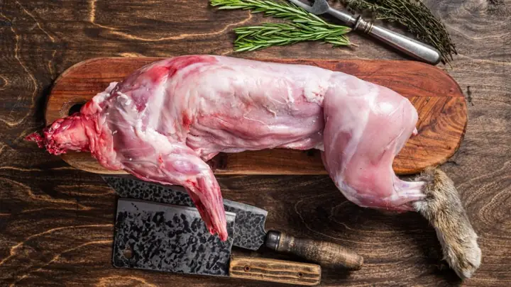 Cách Làm Thịt Thỏ Nhanh Nhất: Hướng Dẫn Chi Tiết Từ A-z Cho Người Mới Bắt Đầu