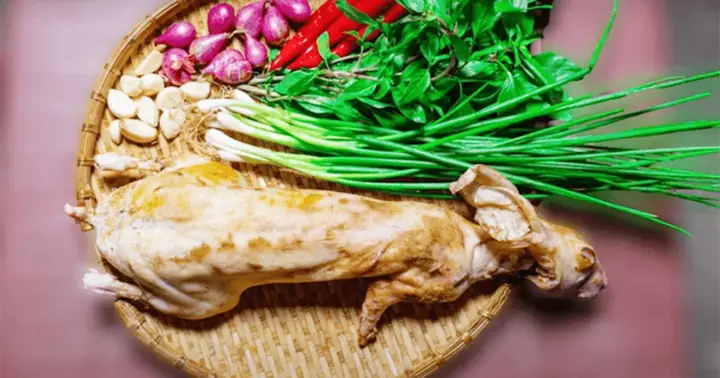 Cách Làm Thịt Thỏ Nhanh Nhất: Hướng Dẫn Chi Tiết Từ A-z Cho Người Mới Bắt Đầu