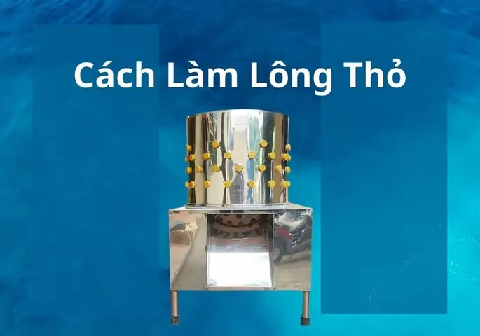 Cách Làm Thịt Thỏ Nhanh Nhất: Hướng Dẫn Chi Tiết Từ A-z Cho Người Mới Bắt Đầu