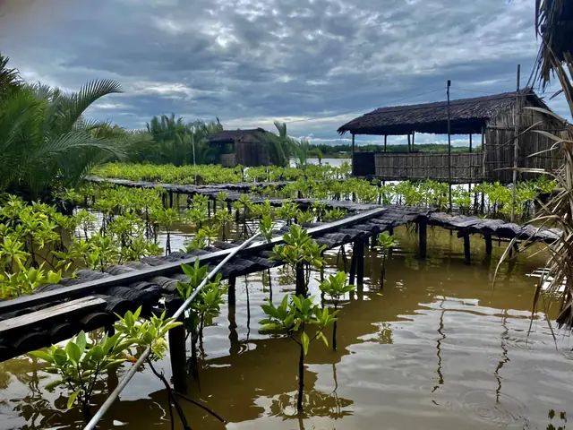 Cách Làm Tôm Chua Đu Đủ Giòn Ngon, Chuẩn Vị Miền Tây Tại Nhà