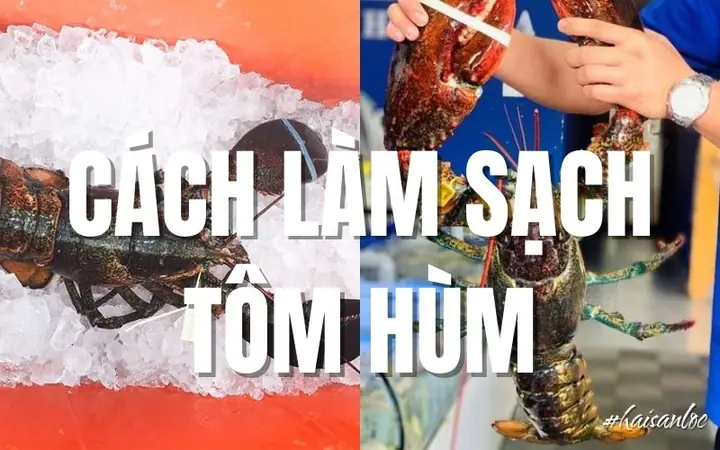 Cách Làm Tôm Hùm Sống Chuẩn Vị, Giữ Nguyên Độ Tươi Ngon Cho Bữa Tiệc Thượng Hạng