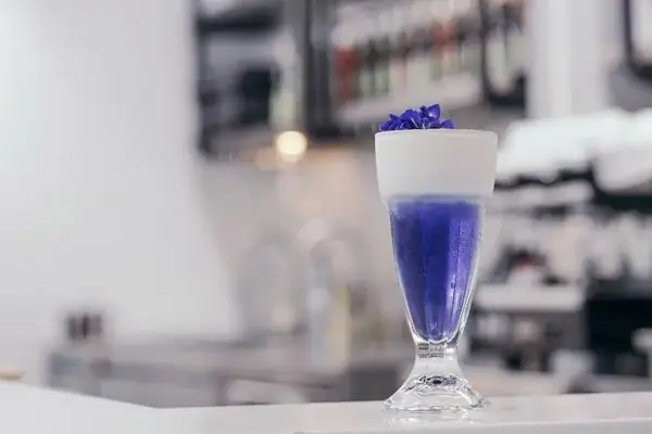 Cách Làm Trà Hoa Đậu Biếc Macchiato Béo Ngậy, Thơm Ngon Chuẩn Vị Tại Nhà Cách Làm Trà Hoa Đậu Biếc Macchiato Béo Ngậy, Thơm Ngon Chuẩn Vị Tại Nhà