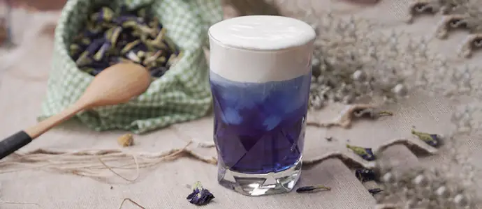 Cách Làm Trà Hoa Đậu Biếc Macchiato Béo Ngậy, Thơm Ngon Chuẩn Vị Tại Nhà Cách Làm Trà Hoa Đậu Biếc Macchiato Béo Ngậy, Thơm Ngon Chuẩn Vị Tại Nhà