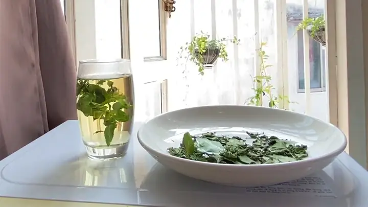 Cách Làm Trà Quất Bạc Hà: Thức Uống Giải Nhiệt Chuẩn Vị Ngày Hè