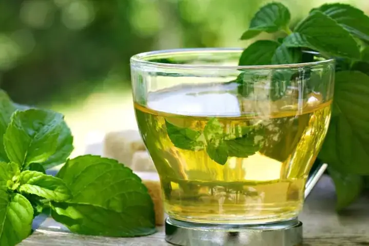 Cách Làm Trà Quất Bạc Hà: Thức Uống Giải Nhiệt Chuẩn Vị Ngày Hè