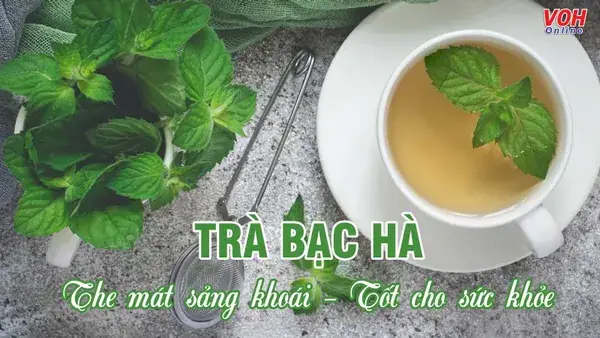 Cách Làm Trà Quất Bạc Hà: Thức Uống Giải Nhiệt Chuẩn Vị Ngày Hè