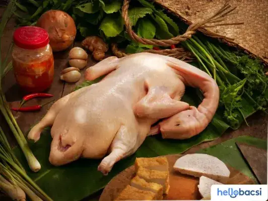 Cách Làm Vịt Nấu Chao Món Ngon Mỗi Ngày Cách Làm Vịt Nấu Chao Món Ngon Mỗi Ngày