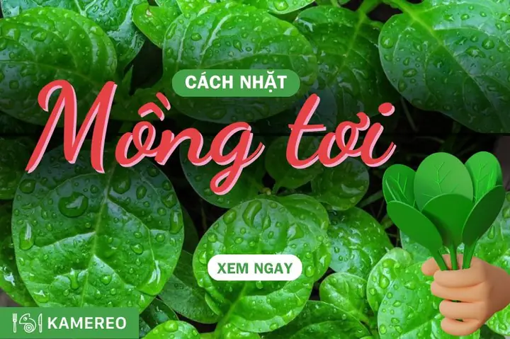 Cách Lặt Rau Tần Ô Đúng Chuẩn, Giữ Nguyên Dinh Dưỡng Và Độ Tươi Ngon Cách Lặt Rau Tần Ô Đúng Chuẩn, Giữ Nguyên Dinh Dưỡng Và Độ Tươi Ngon