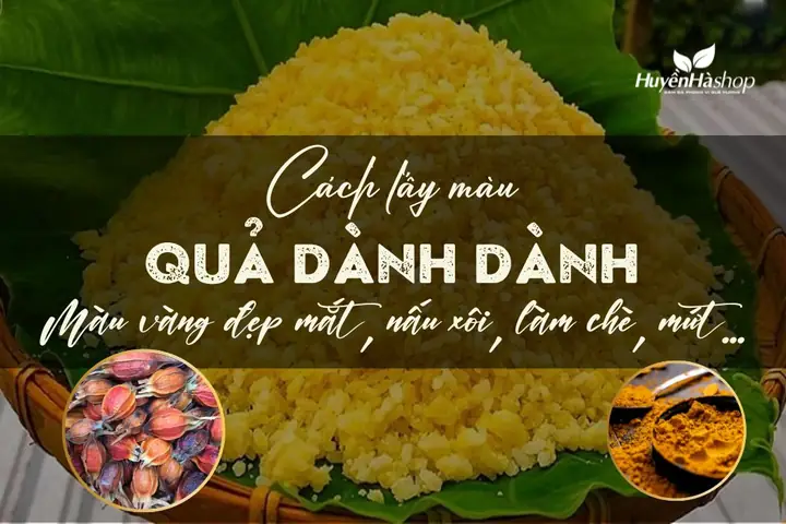 Cách Lấy Màu Từ Quả Dành Dành: 5 Phương Pháp Tự Nhiên Và An Toàn