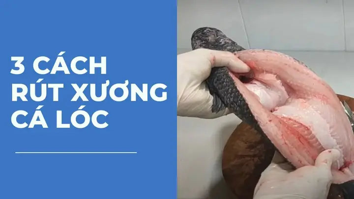 Cách Lóc Xương Cá Lóc Chi Tiết Từ A Đến Z Cho Người Mới Bắt Đầu Cách Lóc Xương Cá Lóc Chi Tiết Từ A Đến Z Cho Người Mới Bắt Đầu