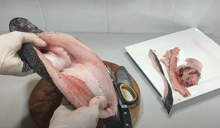 Cách Lóc Xương Cá Lóc Chi Tiết Từ A Đến Z Cho Người Mới Bắt Đầu Cách Lóc Xương Cá Lóc Chi Tiết Từ A Đến Z Cho Người Mới Bắt Đầu