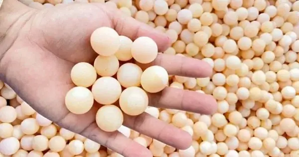Cách Luộc Trứng Ba Ba: Hướng Dẫn Chi Tiết Và Những Điều Bạn Chưa Biết
