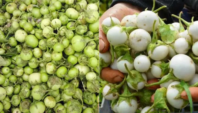 Cách Muối Cà Quả To Ngon Giòn, Không Bị Ủng, Để Được Lâu Cách Muối Cà Quả To Ngon Giòn, Không Bị Ủng, Để Được Lâu