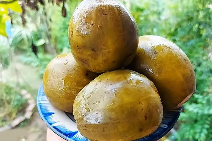 Cách Muối Dưa Hấu Non Chuẩn Vị, Giòn Ngon Và Bảo Quản Được Lâu Cách Muối Dưa Hấu Non Chuẩn Vị, Giòn Ngon Và Bảo Quản Được Lâu