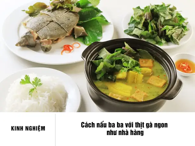 Cách Nấu Ba Ba Với Thịt Gà Ngon Chuẩn Vị, Dễ Thực Hiện Tại Nhà