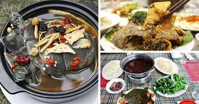 Cách Nấu Ba Ba Với Thịt Gà Ngon Chuẩn Vị, Dễ Thực Hiện Tại Nhà