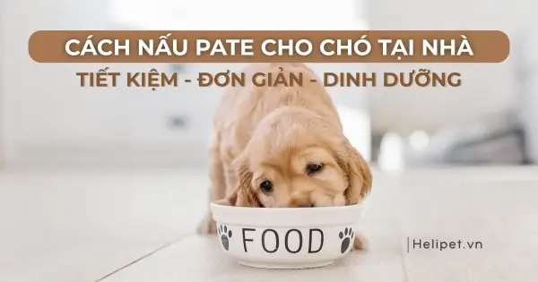 Cách Nấu Bí Đỏ Cho Chó: Hướng Dẫn Chi Tiết Và An Toàn Từ Chuyên Gia
