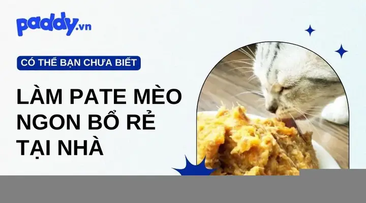 Cách Nấu Bí Đỏ Cho Chó: Hướng Dẫn Chi Tiết Và An Toàn Từ Chuyên Gia