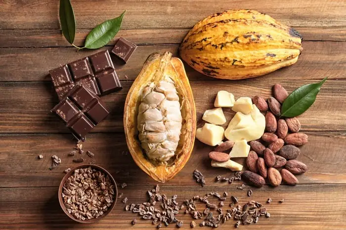 Cách Nấu Bột Ca Cao Thơm Ngon, Bổ Dưỡng Tại Nhà