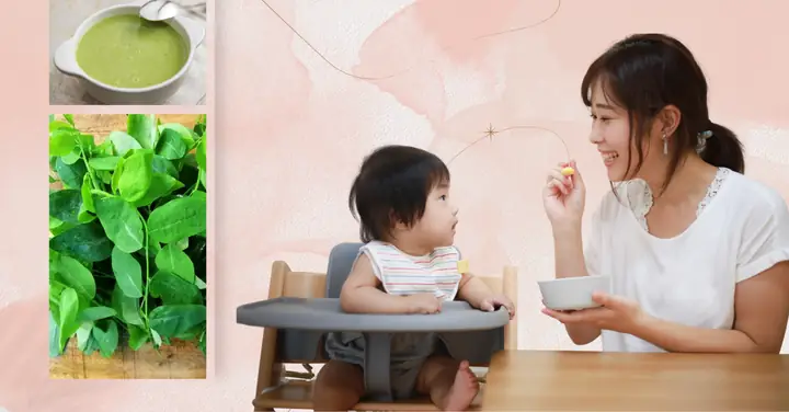 Cách Nấu Bột Thịt Bò Rau Ngót Cho Bé Bổ Dưỡng Và An Toàn
