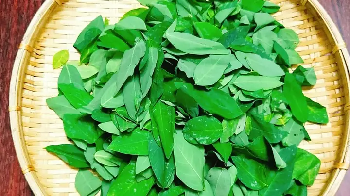 Cách Nấu Bột Thịt Bò Rau Ngót Cho Bé Bổ Dưỡng Và An Toàn