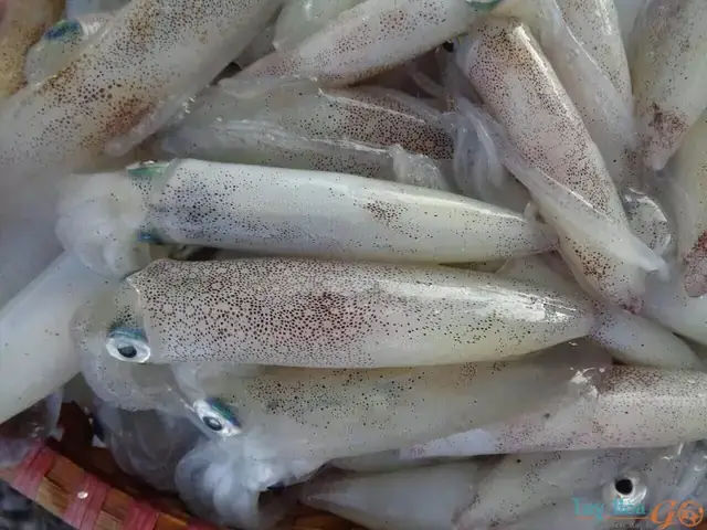 Cách Nấu Bún Mực Miền Trung: Bí Quyết Giữ Vị Tươi Ngon, Chuẩn Vị Biển